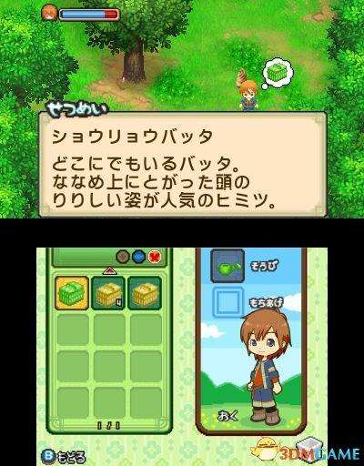 牧场物语双子村攻略图文大全（游戏介绍、剧情和玩法评测）